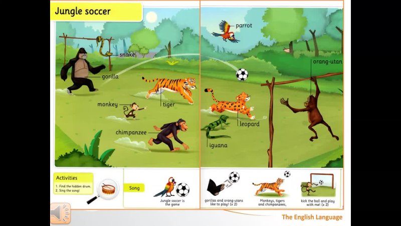 Jungle Soccer