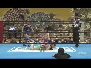 Ice Ribbon. New Ice Ribbon #1274 Osaka Ribbon 2023