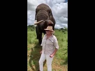 Слоны умеют шутить над людьми!