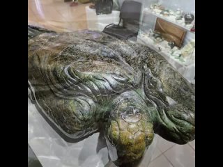 Морская черепаха. Нефрит - окатыш 65 кг. incorporated @uralarmsport  Океан Нефрита @new_ocean_jade