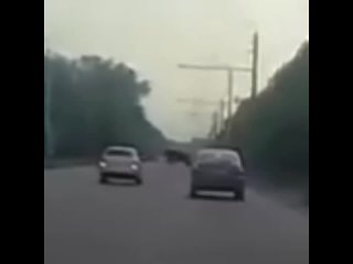 Лоси в Башкирии перебегают дорогу заполненную автомобилями