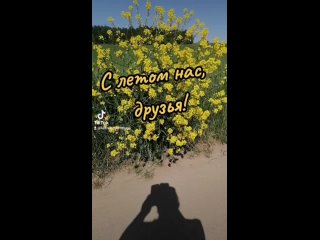 Видео от Людмилы Новицкой - С летом нас, друзья.mp4