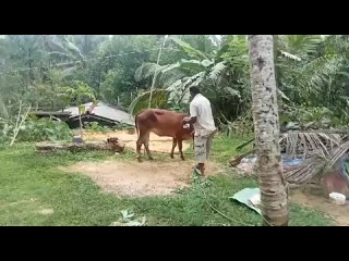 Видео от Танюшки Курчиной