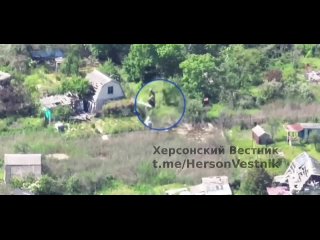 На острове Борщевой Херсонской области авиаударом ВКС России уничтожено подразделение противника