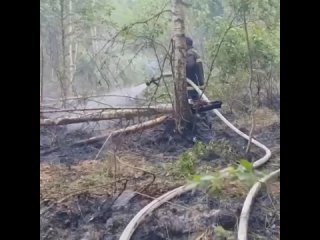 Продолжается тушение пожара возле села Куяново