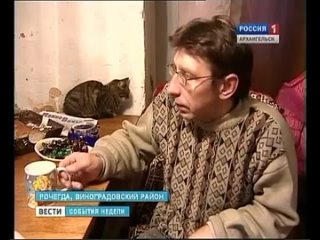 Конецгорский леспромхоз банкрот