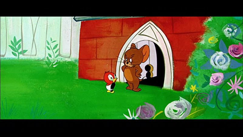 M KV2501 Tom and Jerry 099 The Egg and Jerry ( Widescreen)