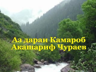 Акашариф Ҷӯраев - Аз дараи Камароб