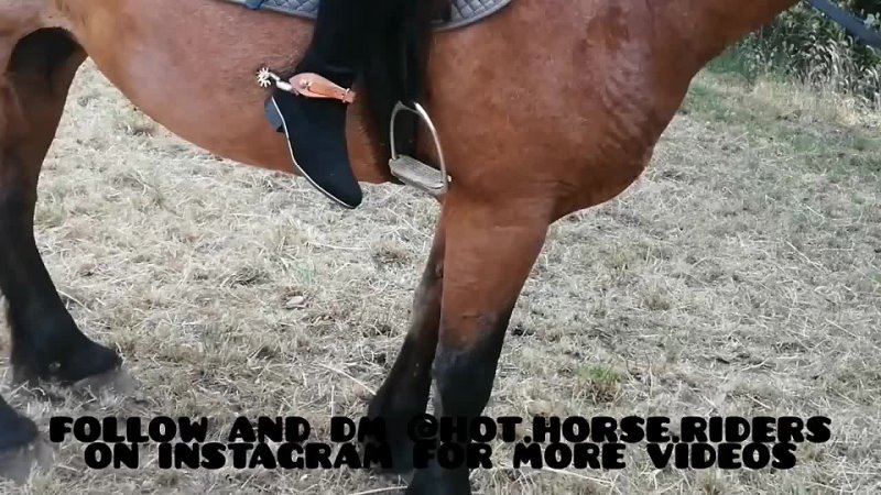 HORSE RIDING BY A VERY HOT