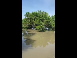 Шуменский парк в Херсоне ушел под воду