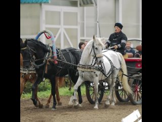 Фестиваль Русской тройки в Богдарне!