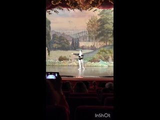 Лебединое озеро» — одно из самых знаменитых творений балетного искусства. Его хореография на протяжении долгого времени считаетс