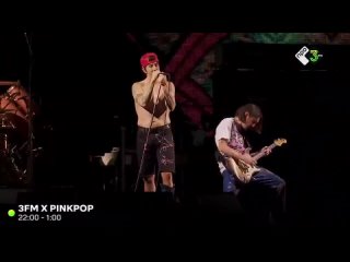 Red Hot Chili Peppers - Pinkpop 2023 - Full Show (Livestream)