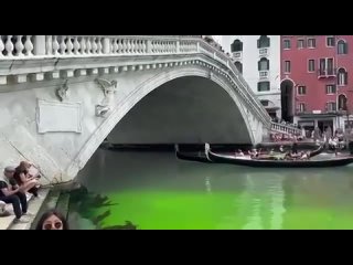 Вода в венецианском Гранд-канале окрасилась в ярко-зелёный цвет