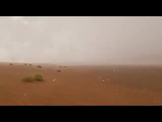 Арабские Эмираты успешно испытали технологию искусственного дождя в горящей пустыне при температуре  50°C

В Объединенных Арабск