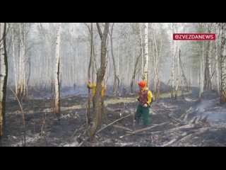 🪂С лесным пожаром на севере Свердловской области помогали бороться парашютисты-десантники.