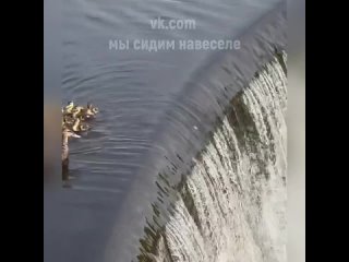 Настоящая, любящая мама!