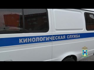 Ростовские полицейские провели экскурсию для школьников