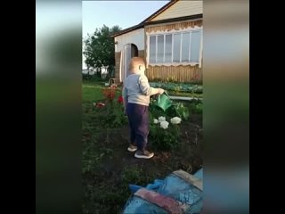 Дедушкин помощник -