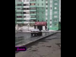 Живодер привязал буксировочным тросом к машине собаку и тащил ее по дороге в Красноярском крае — полиция не нашла поводов