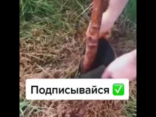 Video by СНТ СОЛНЫШКО УЛЬЯНОВСК