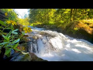 8K HDR 60FPS DOLBY VISION - WORLD OF MIRACLES - With Nature Sounds (Colorfully D