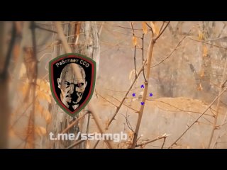 Военнослужащий ВСУ был уничтожен метким выстрелом снайпера ССО МГБ ДНР (архивное видео, снятое осенью)