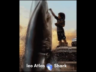 leo Atlas and Shark