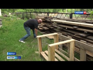 В барнаульском парке «Изумрудный» гадюка укусила мальчика. Змею до сих пор не поймали.