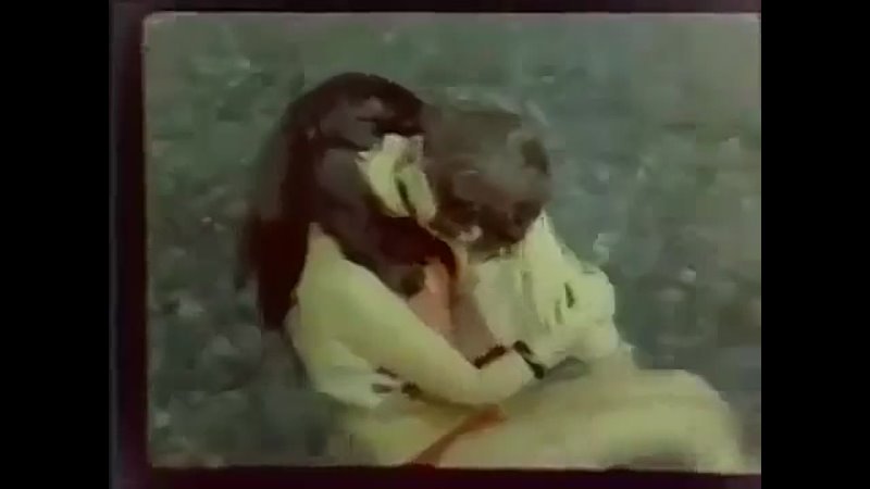 1977 Kanunsuz Kral Türk Filmi ( Behçet Nacar Kazım