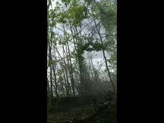 Майский бой в лесополосе.