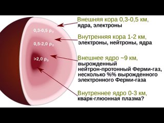 Пчёлы-падальщики. Младенцы и гнев. Разборка эмбриона. Печать бактериями. Новости QWERTY №195