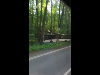 Водитель автобуса 385 (Москва), совершая рейс через Измайловский парк, потерял сознание и врезался в дерево