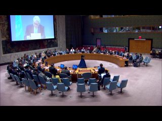 Из выступления Постоянного представителя В.А.Небензи на заседании Совета Безопасности ООН по положению на Ближнем Востоке, включ