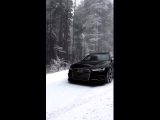 Audi Snow