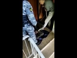 В Екатеринбурге судебные приставы спасли четырех питбулей от гибели

Квартира на улице Опалихинской когда-то была предоставлена