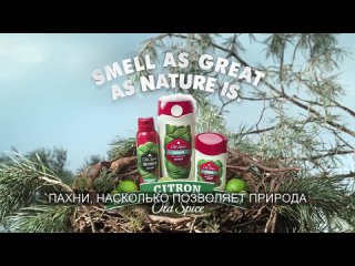 Коллекция Рекламных Роликов Old Spice Серии Smell As Great As Nature Is