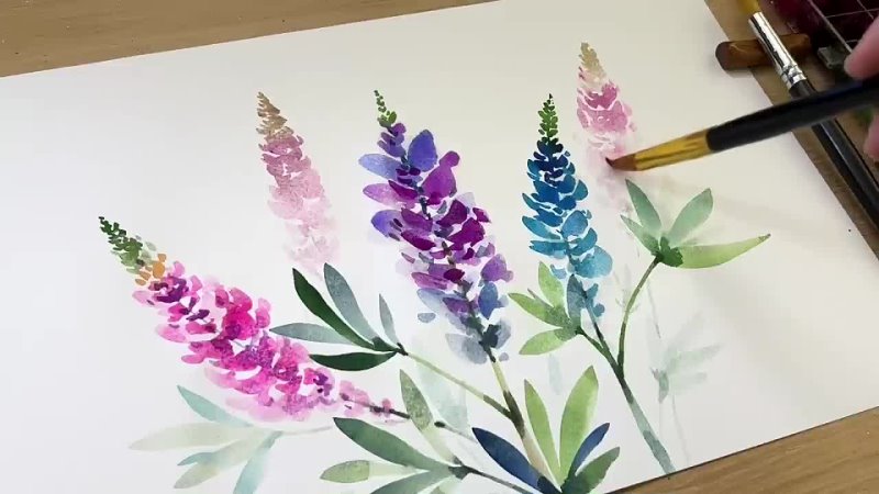 Jay Lee Painting Watercolor painting Lavender, lupins lilacs