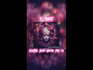 V Shax - Electro Bass House Mix o1