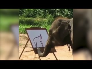 Слон рисует автопортрет