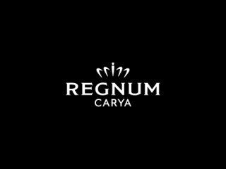 Пример видеокреатива, Regnum Carya