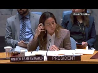 Небензя ответил на претензии ООН по поводу недопуска западных «волонтеров» на подконтрольные РФ территории
