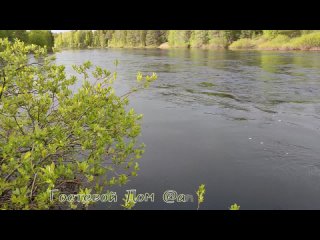 Река Чирка-Кемь в начале лета Июнь Гостевой Дом Андронова Гора