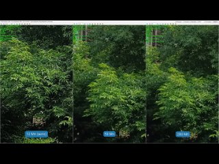 [] Гуччи-стайл! Обзор Realme 11 Pro Plus с 200-Мп камерой и зарядкой за 26 минут