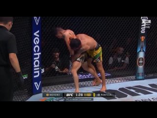 Video by BORZEE BORZA.MMA