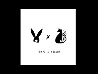 FOXP2 - FOXP2 x ARIANA: Guitar Medley