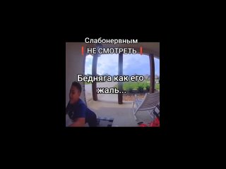 Пиздюк убегает от очень и очень маленькой соьаки (собаки)