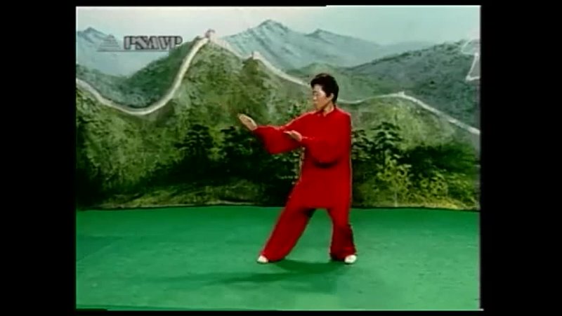 Yang Style Taijiquan  Interior style  Old frame  laojia