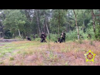 ‼️🇧🇾🏴‍☠️Спецназ Беларуси вместе с бойцами ЧВК «Вагнер» продолжают совместные тренировки 

🤝На протяжении недели подразделения си