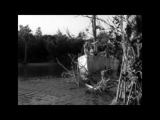 Тварь из черной лагуны / The Creature from the Black Lagoon [1954, ужасы, фантастика, драма, DVDRip]
